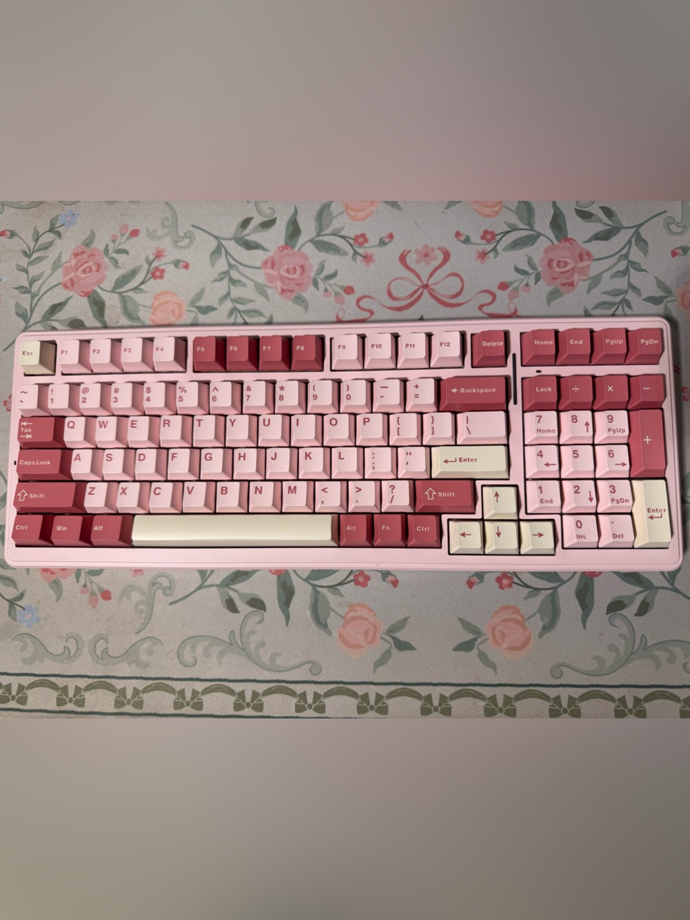 Pink Aula F99